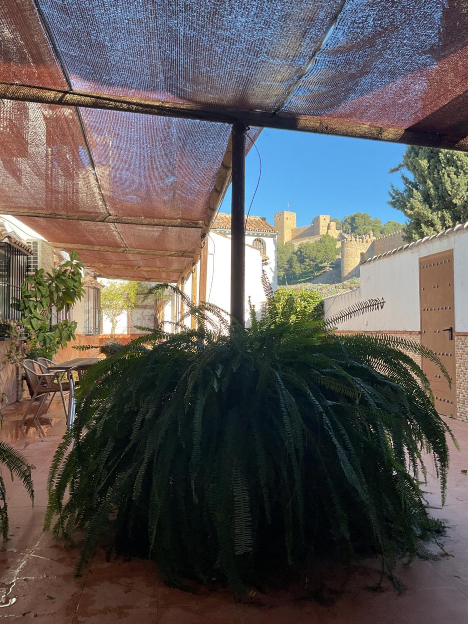 Casa Rural Antikaria Antequera Exterior foto